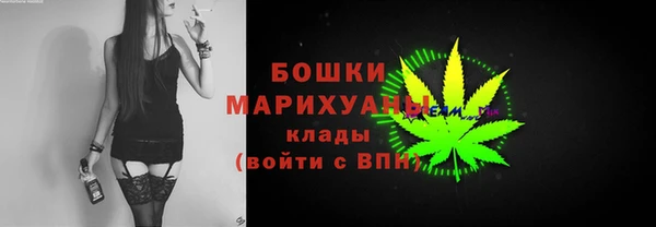 шишки Заволжье