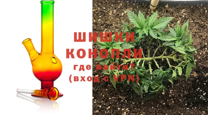 купить наркотики сайты  Заринск  Бошки Шишки VHQ 